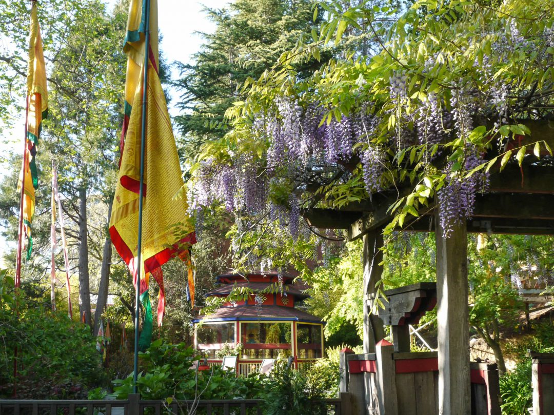 Image of the Meditation Gardens