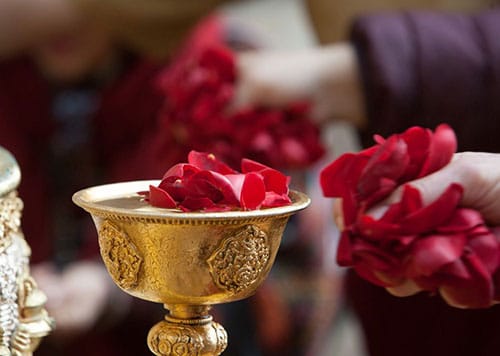 Image of red rose petals
