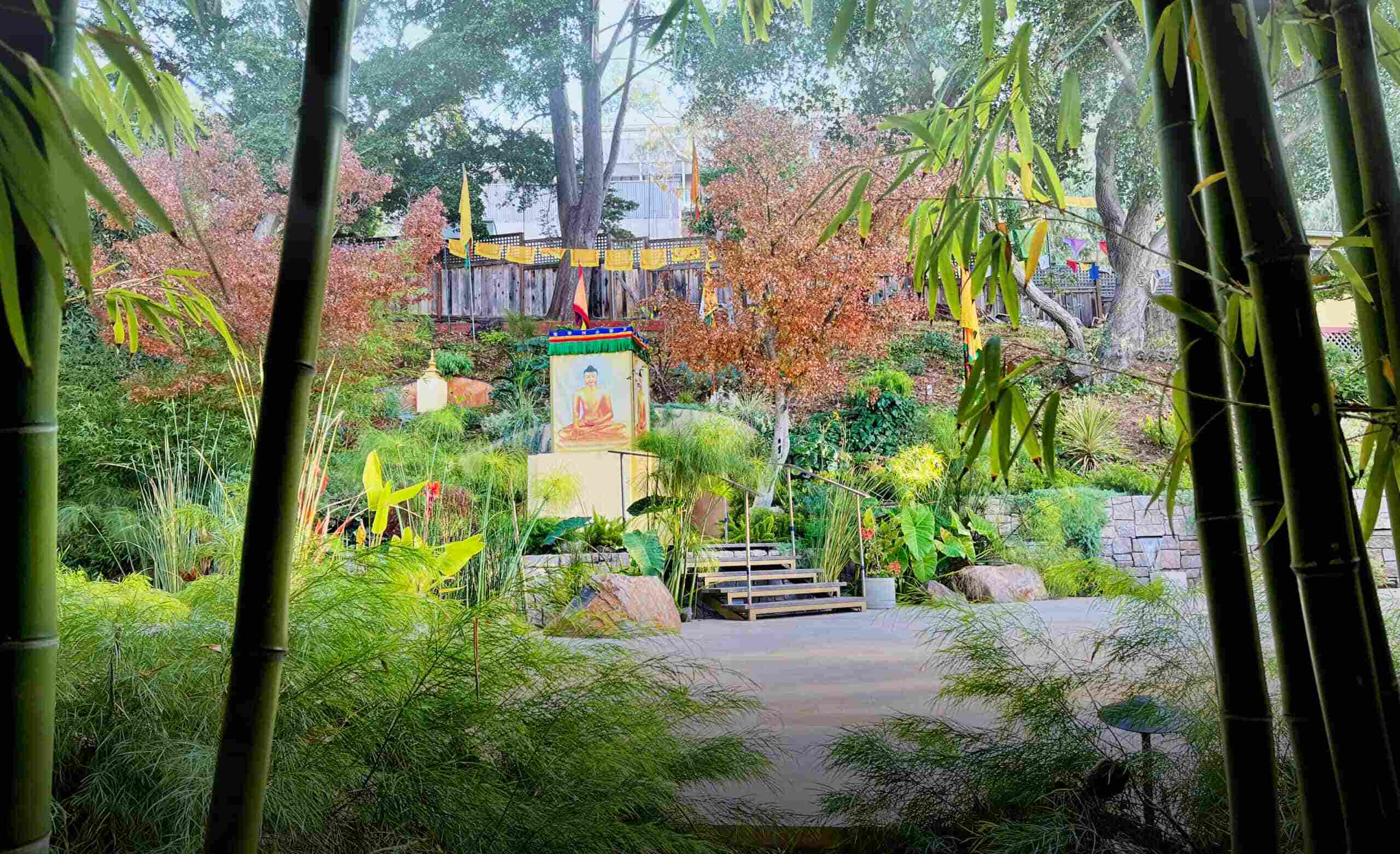 Nyingma Institute's Padmakara Garden viewed through bamboo, with a Buddha image, prayer flags, and lush greenery.