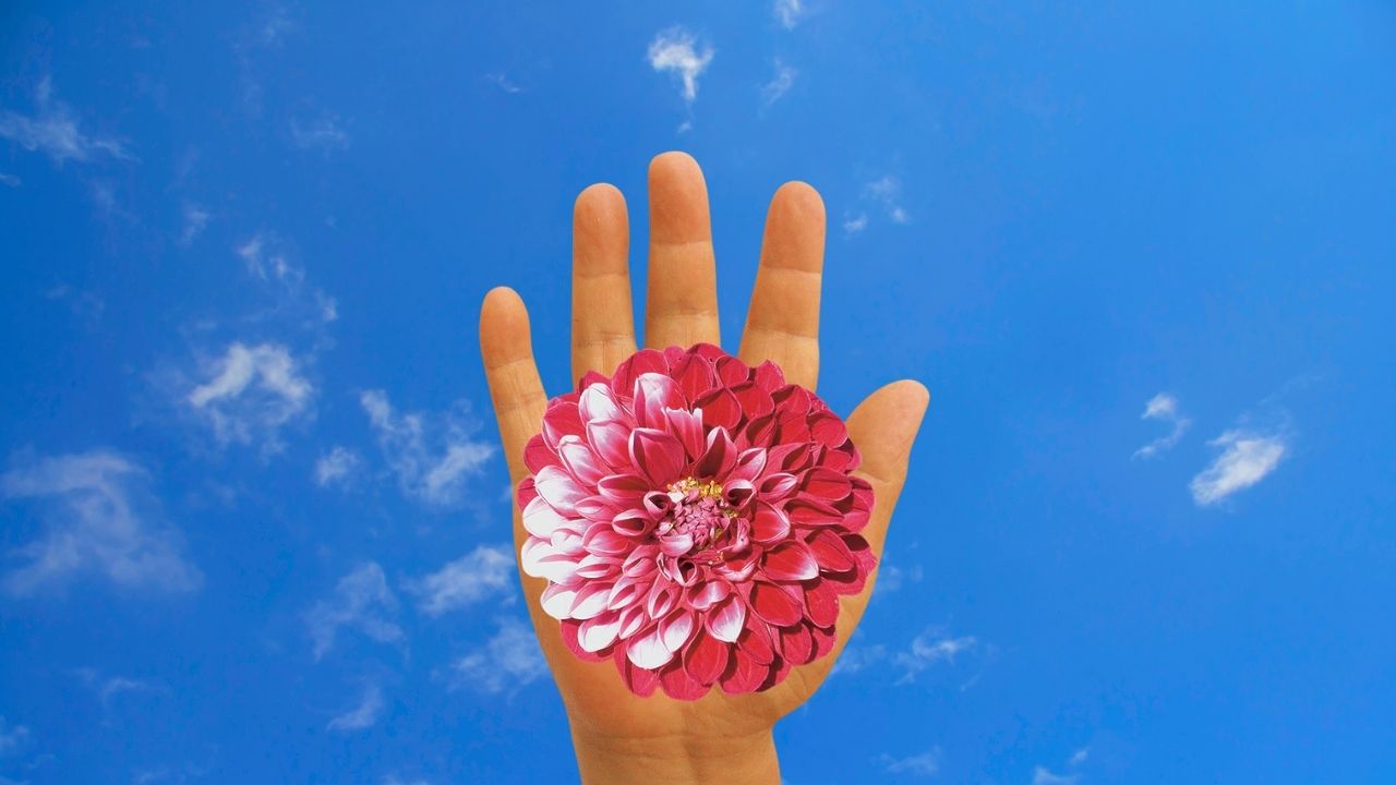Joy of Being Term 5: Exercises for the Mind and Orienting the Mind to Joy