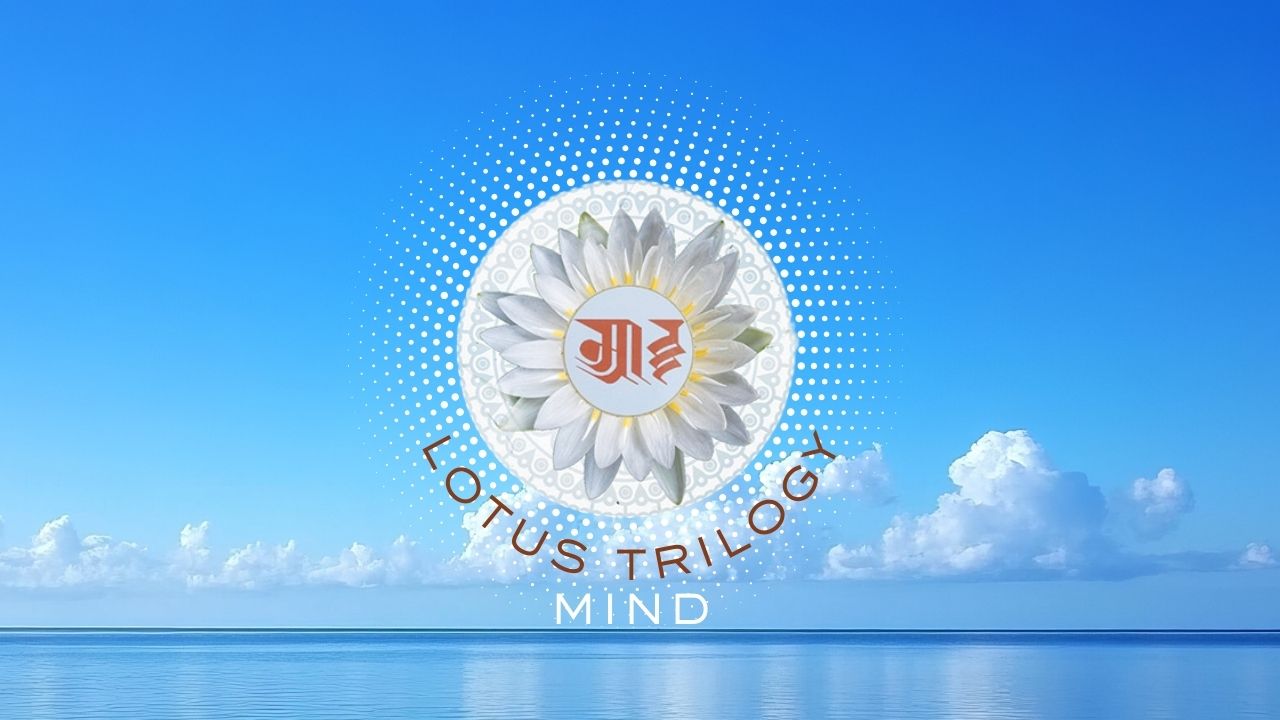 Lotus Trilogy Program Early Fall 2026 Term